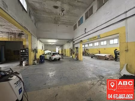 local d'activite 1180 m² beziers