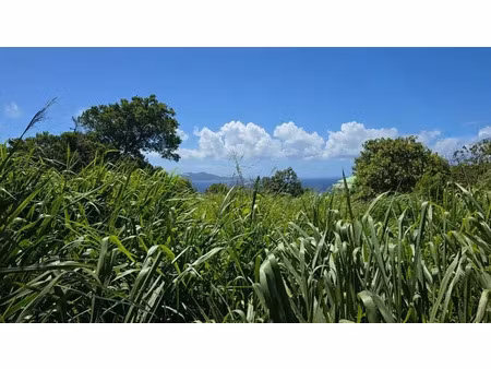 vente terrain 780 m² à trois-rivieres (97114)  138 000 €