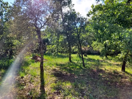 vente terrain 722 m² à le cannet-des-maures (83340)  158 000 €