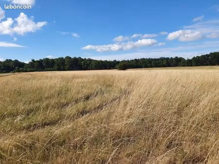 terrain 1 300 m² la lande de fronsac