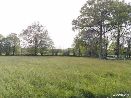 terrain 1569 m²