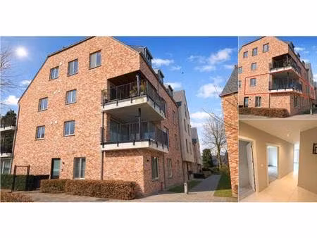 appartement à louer à postiljon 3b wuustwezel (rbv66945)