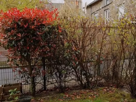 appartement t3 melesse hyper centre