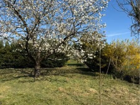 terrain à vendre albi