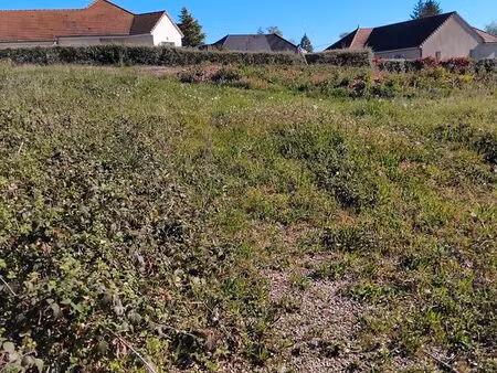 terrain constructible