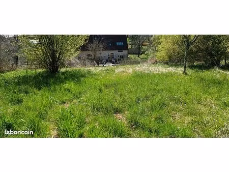 terrain constructible