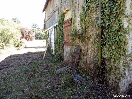 idéal pour vos chevaux