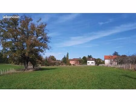 terrain - les bourgeons