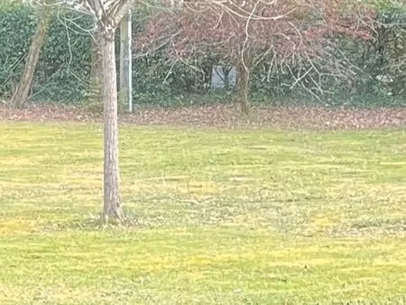 rare terrain constructible 1000m2