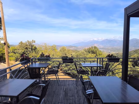 vente locaux professionnels 173 m² à rapale (20246)  1 420 000 €