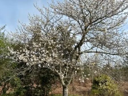 rare terrain constructible de 960 m2 avec garage double 80m2