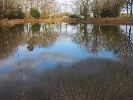 terrain de loisir 1.7ha avec étang