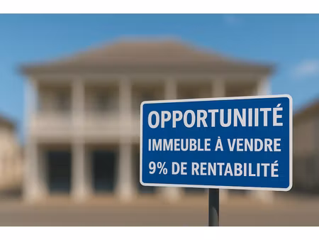 vente immeuble 500 m² à le guillaume (97423)  650 000 €
