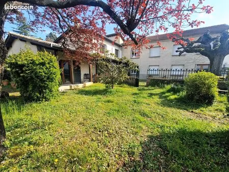 chanas - secteur recherché - propriété de 300 m² habitables - 3450m² de terrain constructi