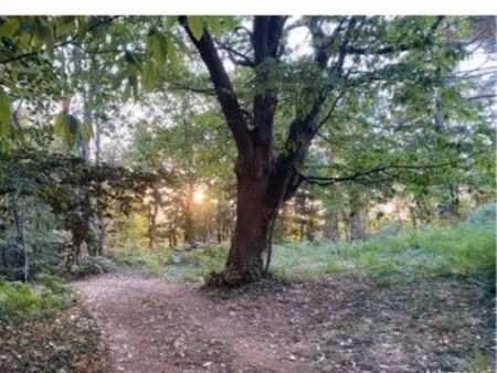 terrain constructible de 1607 m2