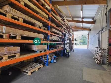 local 600 m² écouflant