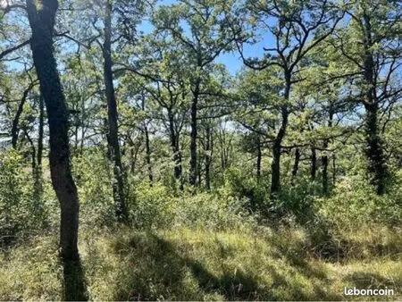 recherche terrain boisé/agricole secteur 56/29