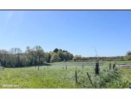 terrain maraîcher bio 2 5 ha – prêt à exploiter – secteur grand-champ