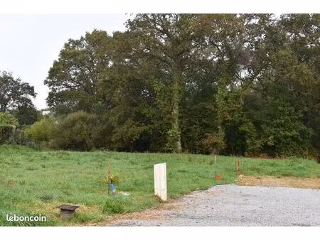 terrains viabilisés