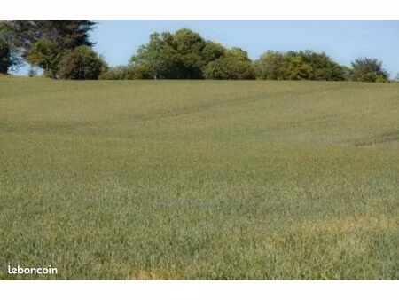 terrain agricole  champ