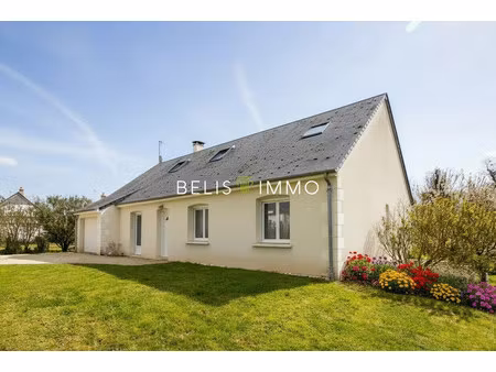 maison montreuil-en-touraine 6 pièces