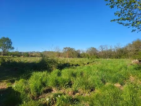 exclusivité label pierres - grand périgueux - terrain à aménager d'environ 2 hectares