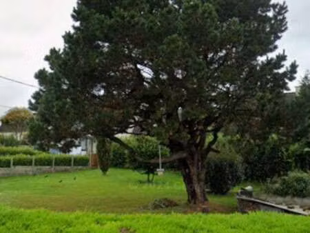 vente terrain à plouédern (29800) : à vendre / 471m² plouédern