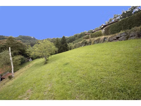 terrain bien dimensionné de 1000m2 à acheter à urrugne