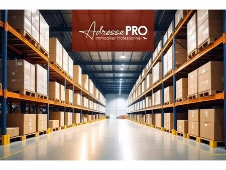 location commerce bordeaux 33300 1300m²