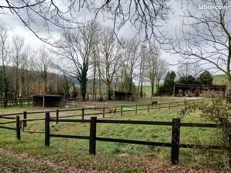 haras d’élevage sur 30 hectares – installations équestres complètes