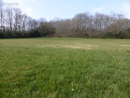 terrain 12365 m² monléon-magnoac