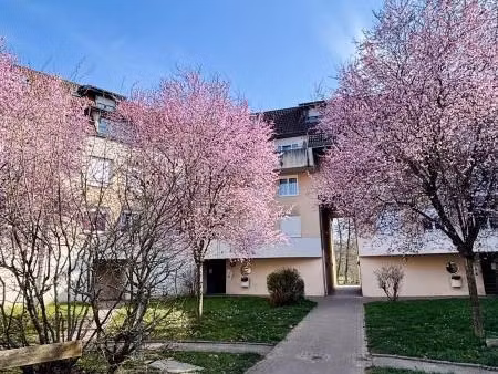 appartement 2 pièces 55 m²