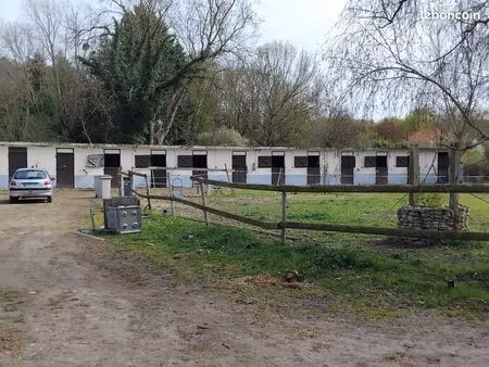 ecurie à louer