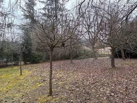 terrain 401 m² schlierbach