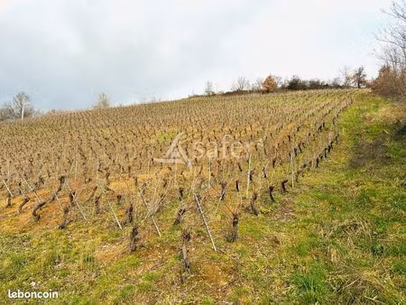 terrain 10025 m² pierreclos