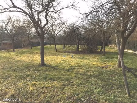 obernai au calme  maison 120m² sur 3 ares