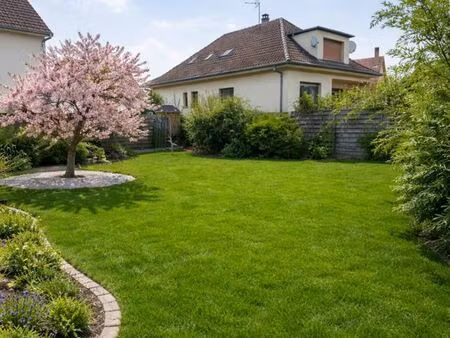 robertsau - grande maison avec jardin