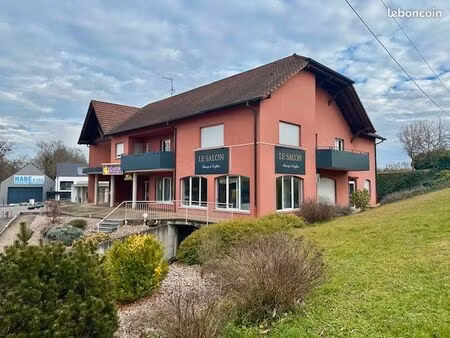 immeuble (1 appartement et 4 locaux commerciaux) - 496 m2 - ranspach le bas
