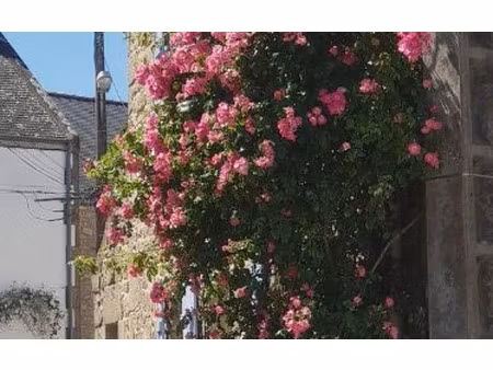 maison plouharnel 70 m² t-3 à vendre  380 000 €