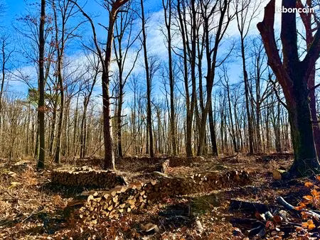 terrain 114000 m² fontainebleau
