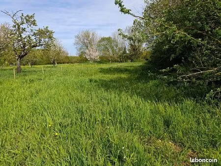 terrain 1000 m2 fors