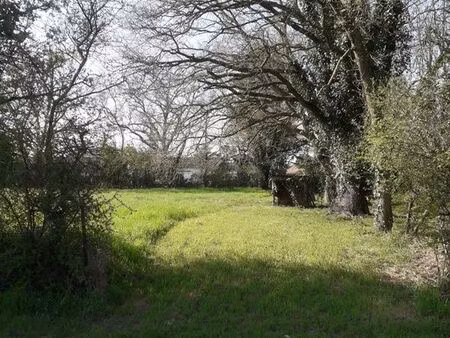 terrain constructible