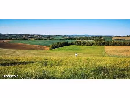 terrain constructible