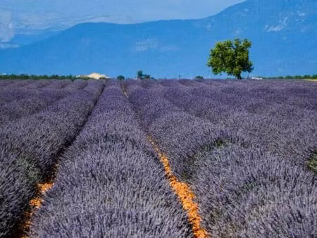 exploitation agricole 37 000 m²