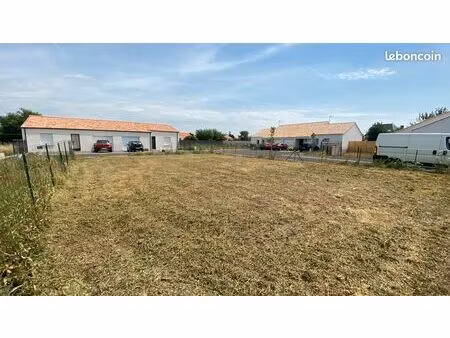 terrain 313 m2