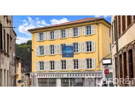 ensemble immobilier - boën sur lignon -