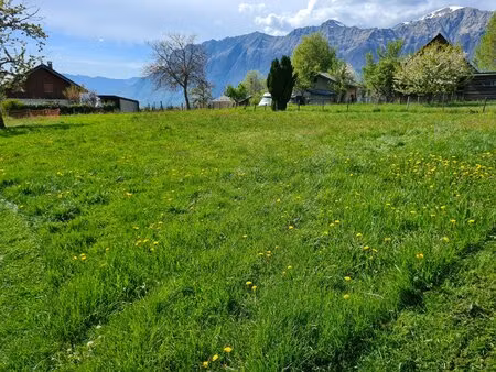 terrain constructible