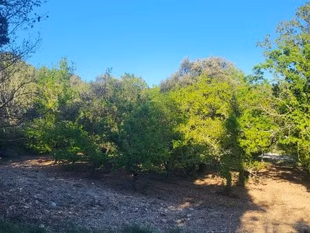 terrain vendu avec son permis de construire 1350m2 région ventoux provence