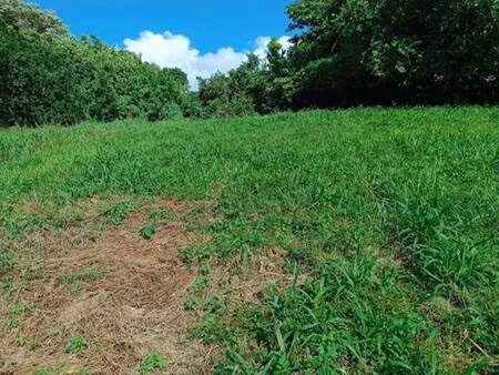 terrain constructible à vendre