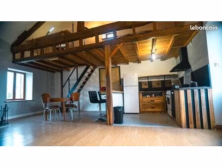 loft d’artiste avec mezzanine